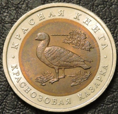 10 рублей 1992 Краснозобая казарка. №3. Монета продается в единственном экземпляре, изображенном на фото.
