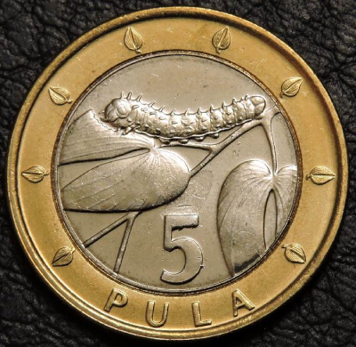 5 пул 2007 Ботсвана. UNC. На фото образец.