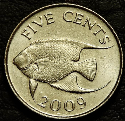 5 центов 2009 Бермуды. Монета продается в единственном экземпляре, изображенном на фото.
